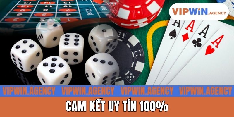 Cam kết uy tín 100%