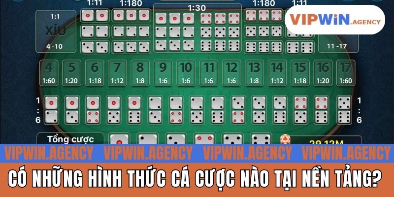 Có những hình thức cá cược nào tại nền tảng?