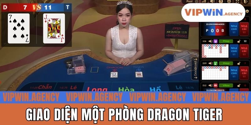 Giao diện một phòng Dragon Tiger
