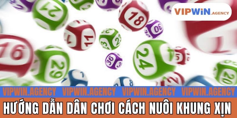 Hướng dẫn dân chơi cách nuôi khung xịn