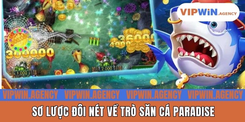 Sơ lược đôi nét về trò săn cá Paradise
