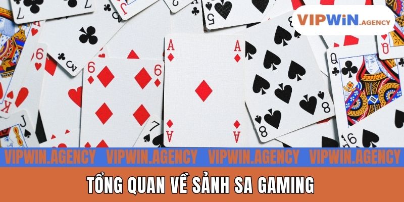 Tổng quan về sảnh SA Gaming