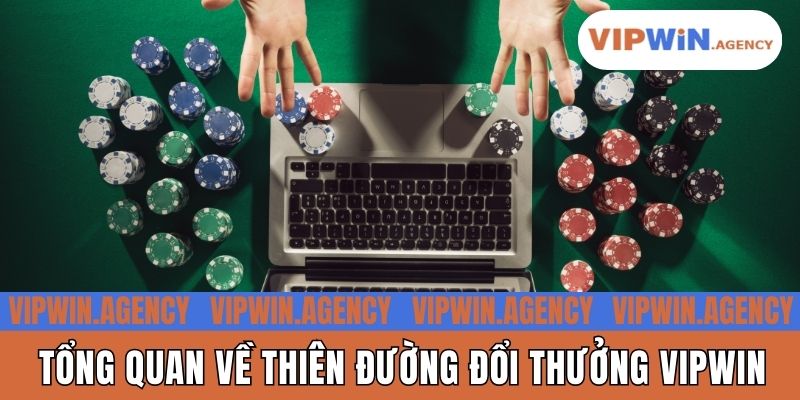 Tổng quan về thiên đường đổi thưởng Vipwin